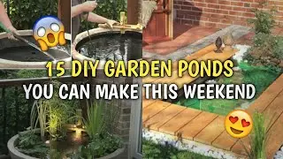 15 BUDGET FRIENDLY DIY GARDEN PONDS YOU CAN MAKE THIS WEEKEND
