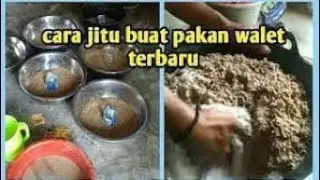 Cara Membuat Pakan Walet, Mudah, Hemat, Tahan Lama dan Tidak Berbau
