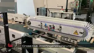 Opti-Solution - Cross-Cut &  Finger-Jointing Line H-200 (1393+94)