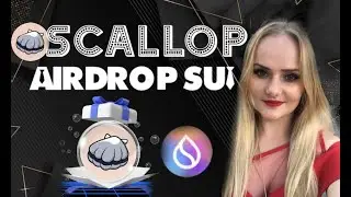 Что такое Scallop в экосистеме Суй, Как получить Аирдроп Scallop