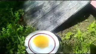 Хотел угостить пчел медом, а пчелы напали )  Bees bite