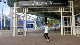 [Kpop in Public Challenge] Itzy_Not Shy dance cover by Lilicorn