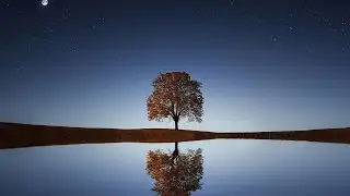 Aqui Estoy - El Champo