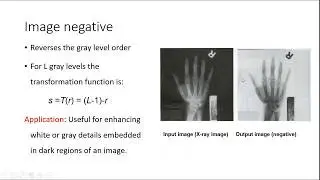 Negative of RGB Image in MATLAB | Negative of Grayscale Image in MATLAB
