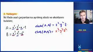 Ebob Ekok Konu Anlatımı
