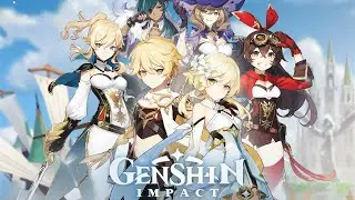 Genshin Impact bug #2