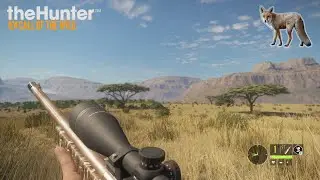 First Few Minutes in The Call of the Wild