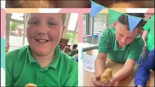 Big Ideas Wales   Enterprise Troopers   Video Case Study   One Hen   Acrefair