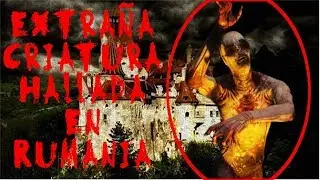 Extraña Criatura Hallada En Rumania | Penumbra XCV