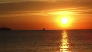 Tango Malaguena - Flamingo Star
