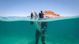The Beginner's Guide to Spearfishing: 5 Secrets I Wish I Knew!