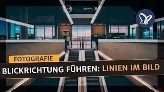 Fotografie-Kurs: Blickrichtung führen – Linien im Bild