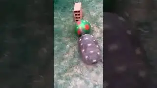 Мбапе 