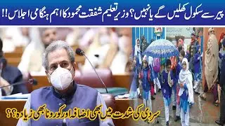 Shafqat Mehmood! Final Decision About School Reopening Will Announced Today