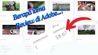 Berapa Lama Review Foto atau Video fotage di Adobe Stock