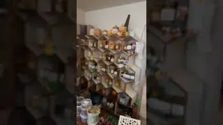 Карника Лунц!!! Продаются Пчеломагазин Старый Улей!!!