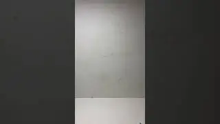 Бременские музыканты. Мы к вам заехали на час! 