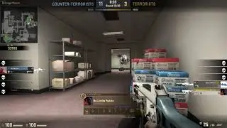 CRUSTY LEAVES PLAY CSGO (INSANE CLUTCH, OMEGALUL)