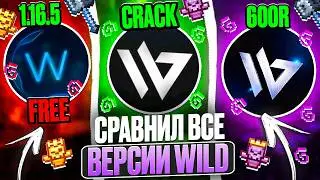 I COMPARED EVERY VERSION OF THE WILD CHEAT CLIENT on FunTime Anarchy