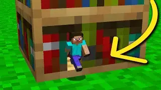 I used a Shrink Mod to hide inside my Friends House on minecraft...