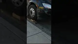 Who is at Fault? You be the Judge...