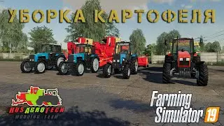 Уборка картофеля FS19.