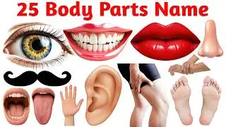 Human Body Parts Name Hindi & English with Pictures and pdf | शरीर के अंग | Name of Body Parts |
