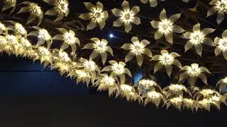 Arbor Vite