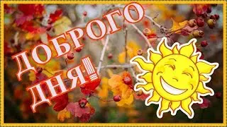 The best day and good mood 👍 Let everything be fine!