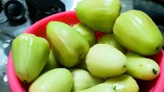 irigasi tetes sistem sumbu