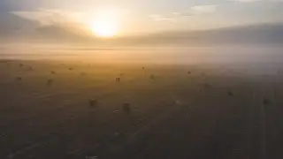 Midsummer Day