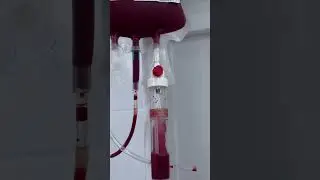 Практика