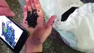 Гранулятор Упак-НН