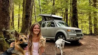 Car camping in my Honda Element