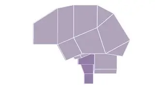 Brain Anatomy - 3D Schematic