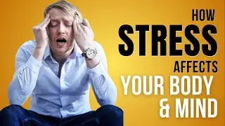 How stress affects your body and mind