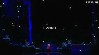 Animal Well Any% NMG in 12:00:230 [Outdated]