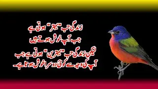 Insan ka Muqaddar Outni bar Baddelta Hai / Amazing quotes in urdu/Best inspirational Quotes in Urdu