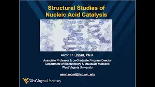 Structural Studies of Nucleic Acid Catalysis