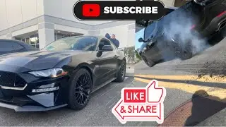 Dodge vs Ford Burnouts 🔥🔥🔥((Must see!!!!) #4k #burnout