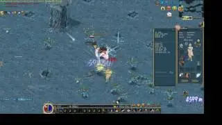 Conquer online 3  Bots