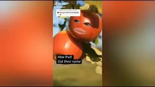 How food got their name - Tik Tok Part 2