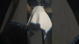 BU BEDANA QANAQA SAYROQ AKALAR QAYSI VIKOYATLARDA QANDAY NOMGA EGA 