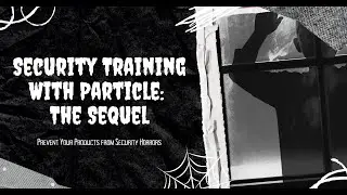 Preventing Product and Enterprise Security Horror Stories with Particle