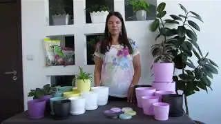 Горшки для дома и офиса - коллекция Ага Матовые - Горшки для цветов - Пластиковые горшки