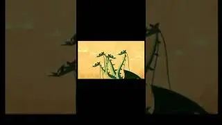 Турнир Драконов, бой номер 3 , Нюхохват vs Планер Прилива!