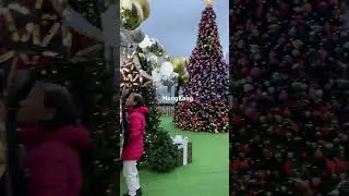 Christmas in Hong Kong 🇭🇰
