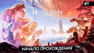 🏹👧Horizon Forbidden West ► НАЧАЛО ПРОХОЖДЕНИЯ ►#1