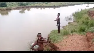 Kids Swimming in a Dangerous Dam, Wild Life, Initiation School, Live Stock, village Nature