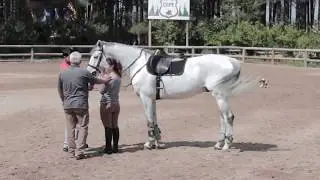Equestrian Training